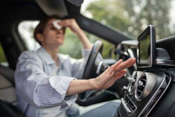 Best Air Conditioning Cleaning in Brigham City, UT